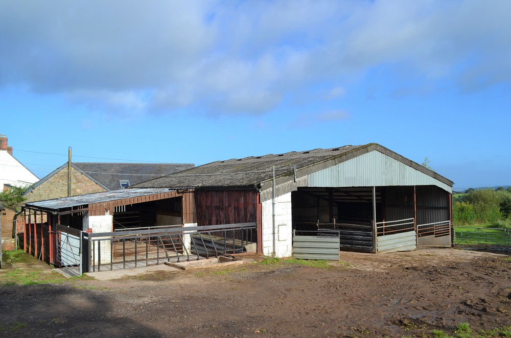 Farm Tenancy Review